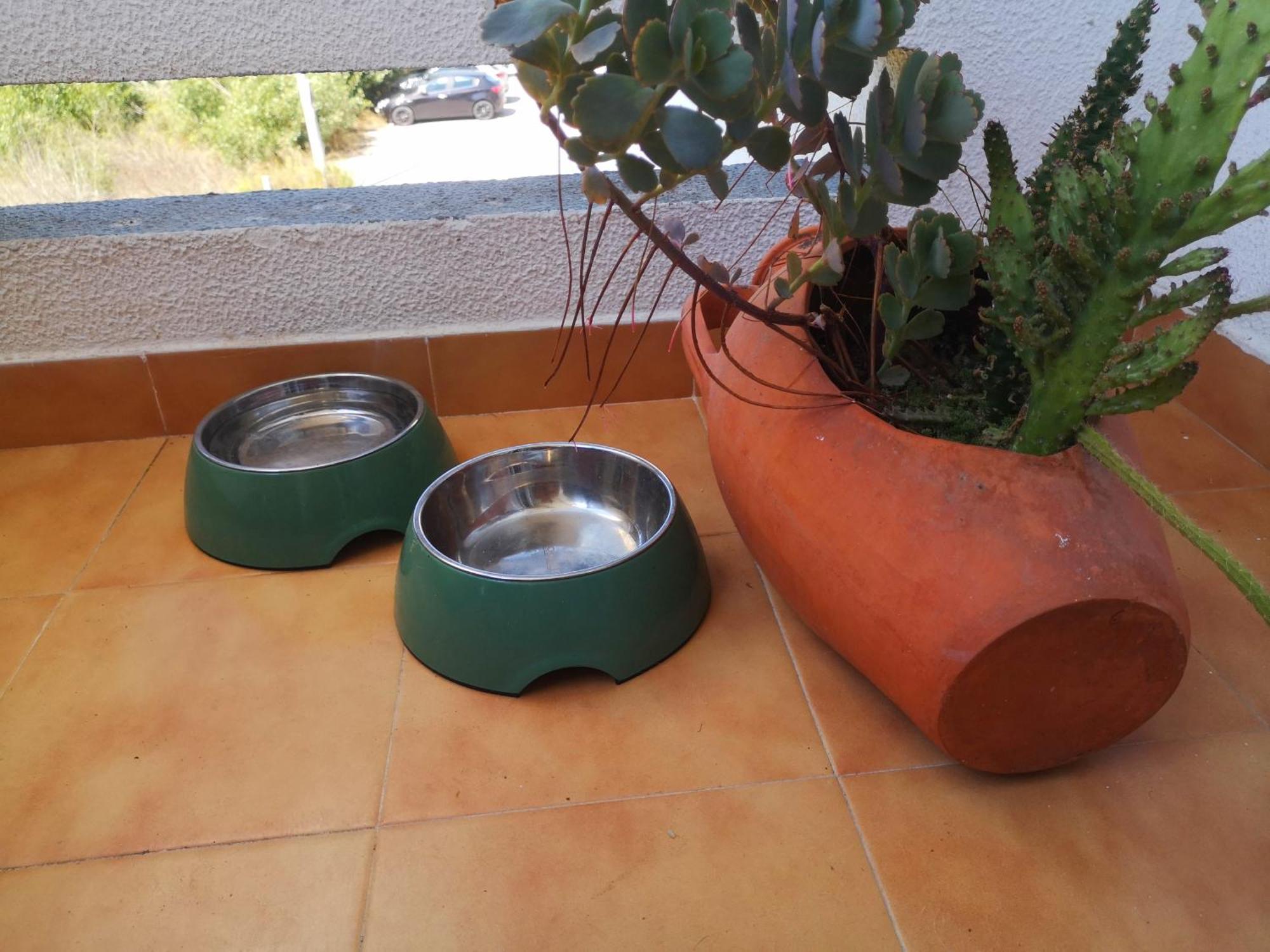 Ocean View Dive House Appartement Sesimbra Buitenkant foto
